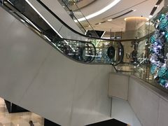-爱雍·乌节