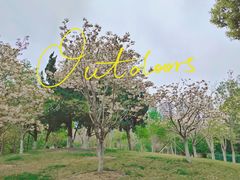 -堤角公园