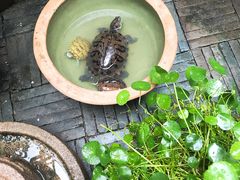 -食客三千·老家