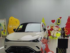 -上海浦东smart汽车全功能店(金桥店)