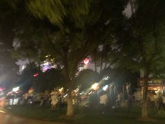 -常州古运河南大街文化旅游区-人民公园