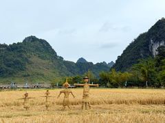 -靖西鹅泉风景区