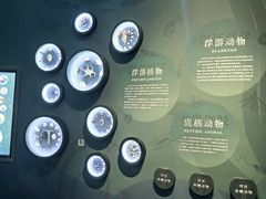 -中国湿地博物馆