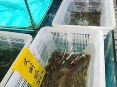 -崖口红树林海鲜餐厅