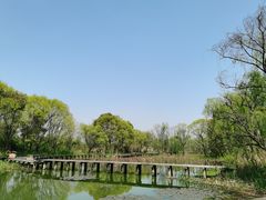 -西溪国家湿地公园