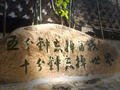 -观唐（国际）度假村温泉