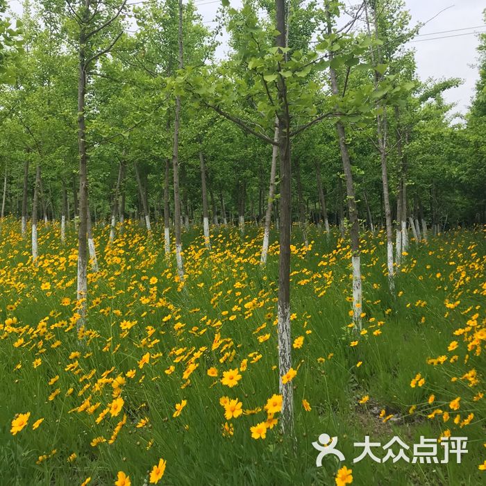 康桥生态园沔西绿地
