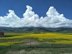 -青海湖国家重点风景名胜区