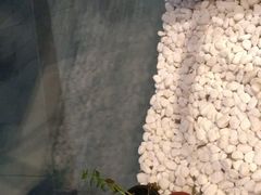 -俏湘私房菜(国贸店)