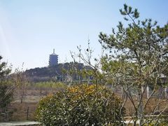 -永定河休闲森林公园