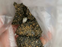 -叶氏麻糍(鼓浪屿店)