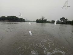 -长兴太湖图影湿地文化园