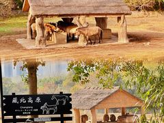 -杭州野生动物世界