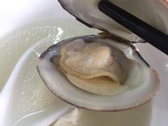 沙白豆腐冬瓜汤-明记海鲜大排档(巽寮湾店)
