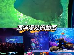 -常州海昌海洋探索馆