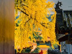-宝通禅寺