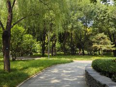-南长河公园