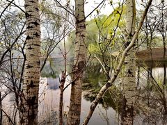 -长白岛森林公园