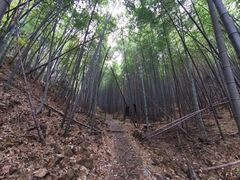 -穹窿山景区