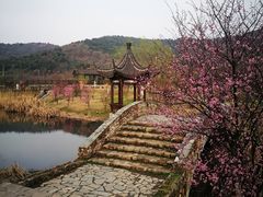 -石塘人家
