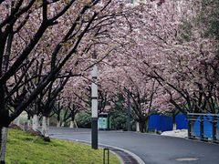-苏州河梦清园环保主题公园