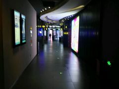 -卢米埃影城(住总万科杜比全景声激光店)