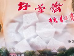 -野荸荠