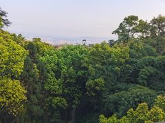 -南山植物园