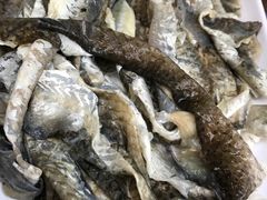 -章记正宗南岗鱼蛋火锅