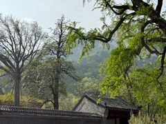 -北京凤凰岭
