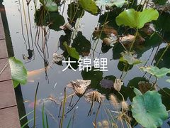 -海淀公园