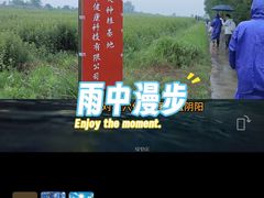-裕和堂中医推拿艾灸(太古汇臻品店)