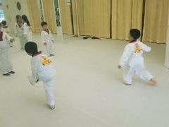 -勇气斑马·巴西柔术&跆拳道(浦东三林店)