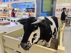 -红星前进面包牛奶公司(君太店)