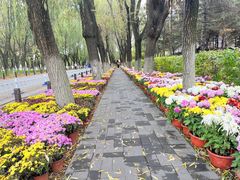 -沈阳市东陵公园