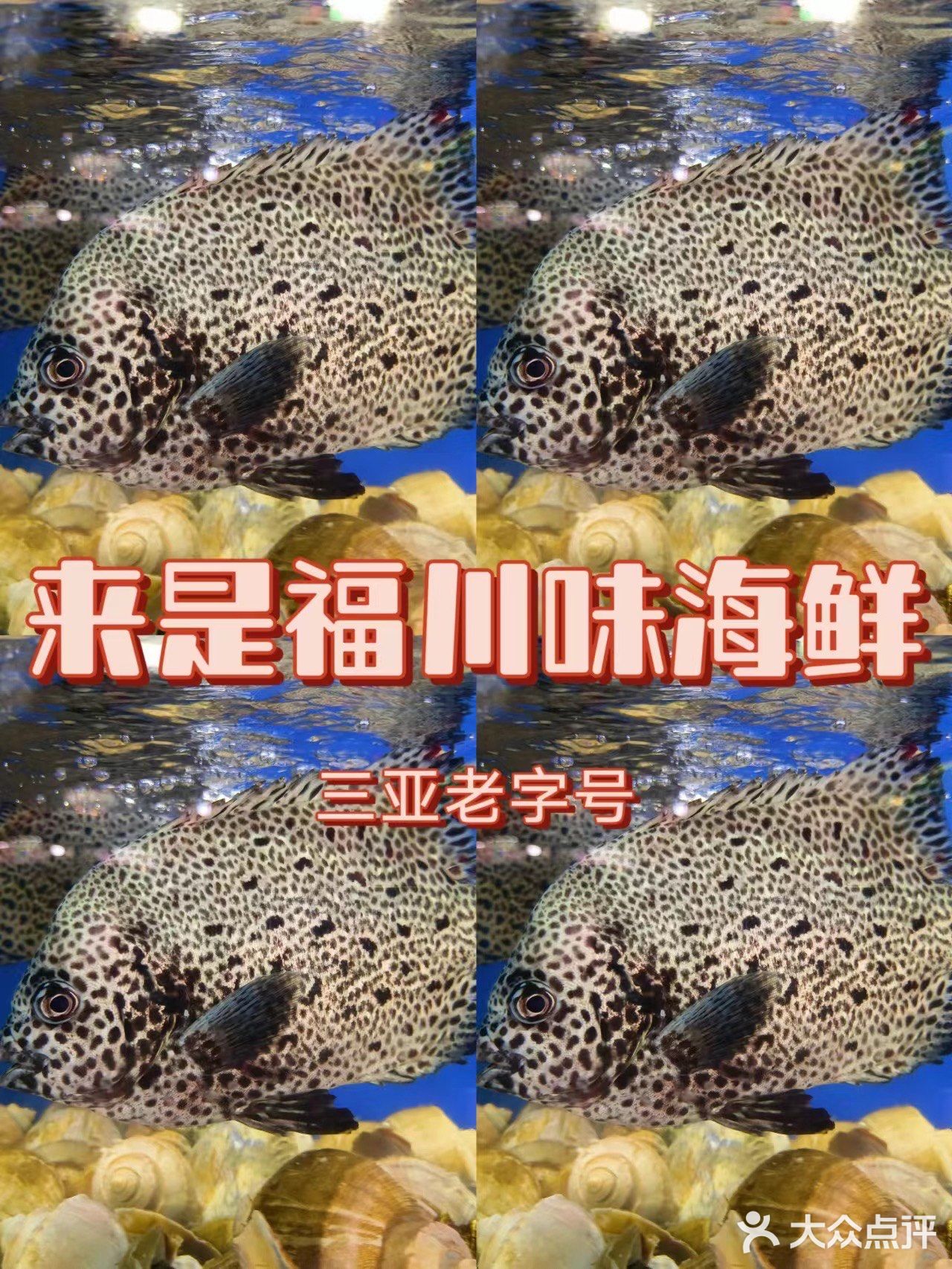 来三亚旅游必不可少的一顿川味海鲜 