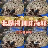 来三亚旅游必不可少的一顿川味海鲜 