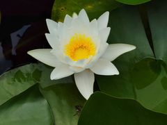 -长广溪湿地公园