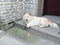 -烟桥古村