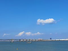 -大湾区中央湿地公园