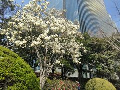 -静安公园(静安寺街道)