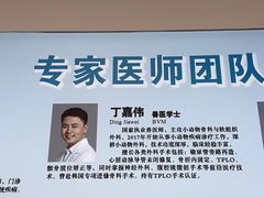 -北京观赏动物医院·24小时大型综合·猫专科·异宠专科