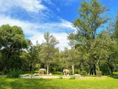 -北京野生动物园