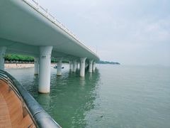 -演武大桥观景平台