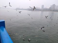 -星海蹦极娱乐