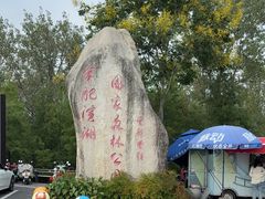 -合肥滨湖国家森林公园