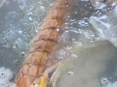 -凯华海鲜火锅·传承三十六年