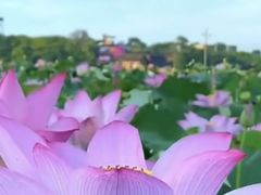 -堤角公园