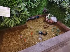 -松坂屋日料自助(长城路店)