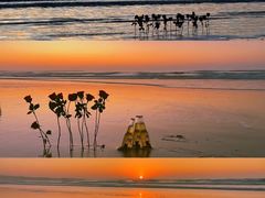 -巧克力渔家.小船海鲜胶东菜(万平口店)